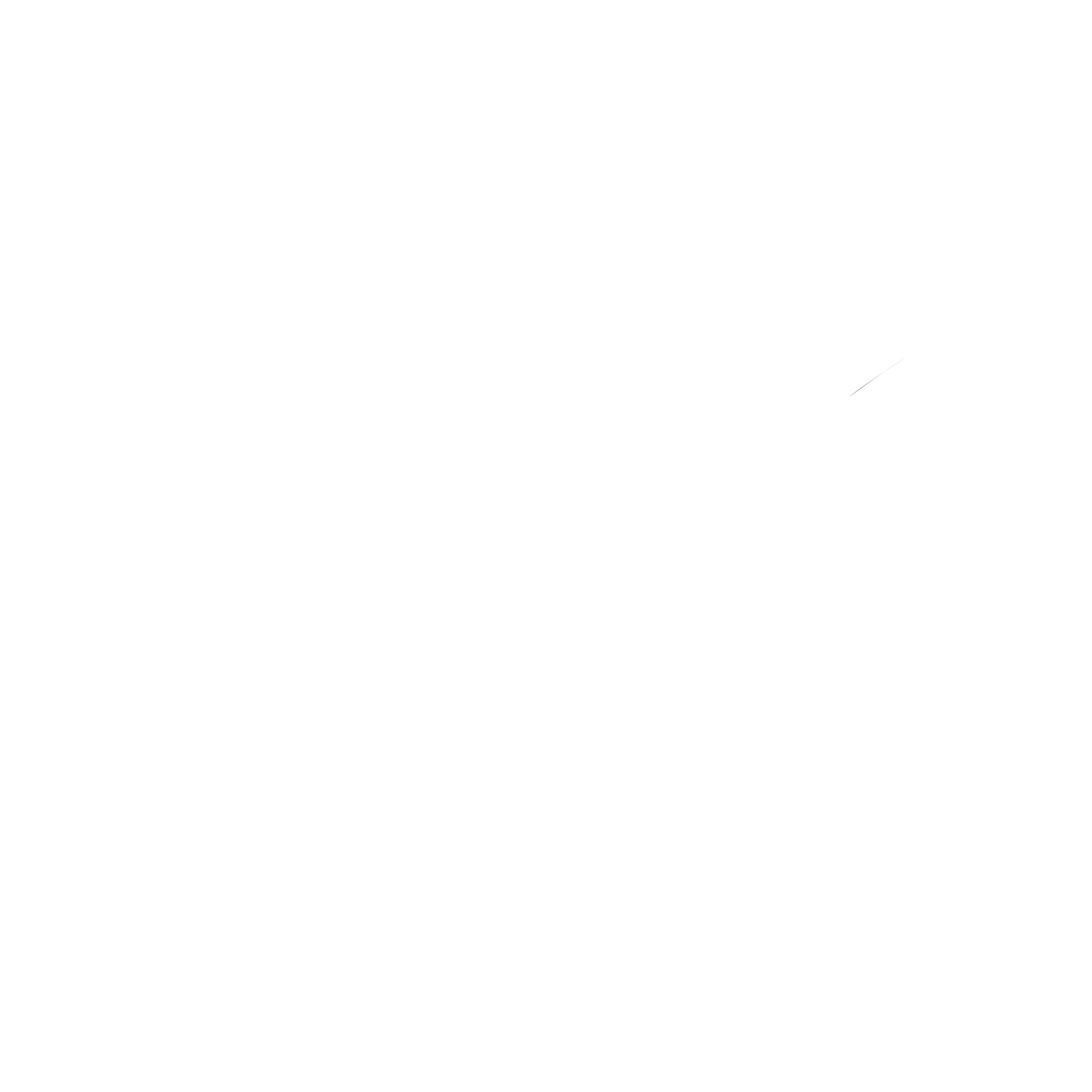 EV Logo