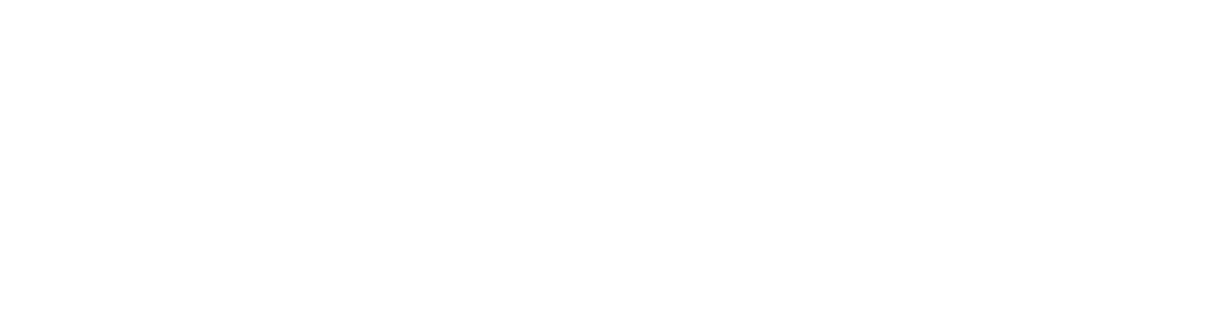 Norwegian Airlines Logo